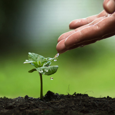 Our Green Approach
